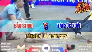 Trận 48 Xà Xía 01/01/2026