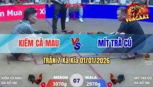 Trận 7 Xà Xía 01/01/2026