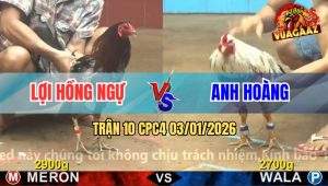 Trận 10 CPC4 03/01/2026