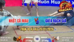 Trận 10 Xà Xía 19/01/2026