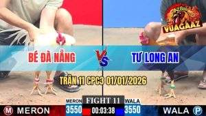 Trận 11 CPC3 01/01/2026