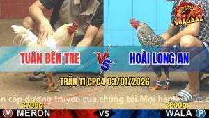Trận 11 CPC4 03/01/2026