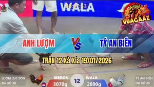 Trận 12 Xà Xía 19/01/2026