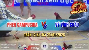 Trận 12 Xà Xía 20/01/2026