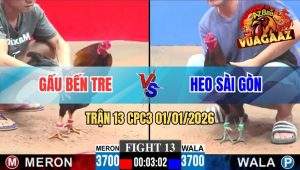 Trận 13 CPC3 01/01/2026