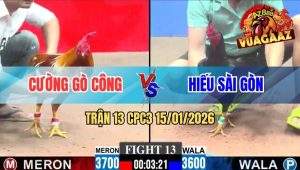 Trận 13 CPC3 15/01/2026