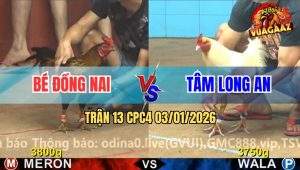 Trận 13 CPC4 03/01/2026