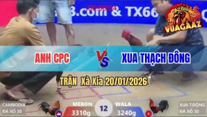 Trận 13 Xà Xía 20/01/2026