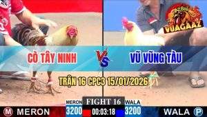 Trận 16 CPC3 15/01/2026