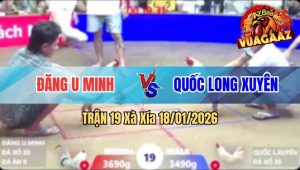 Trận 19 Xà Xía 18/01/2026