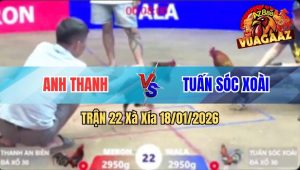Trận 22 Xà Xía 18/01/2026