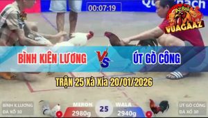 Trận 25 Xà Xía 20/01/2026