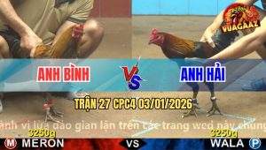 Trận 27 CPC4 03/01/2026