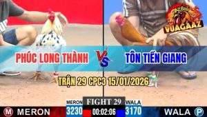 Trận 29 CPC3 15/01/2026