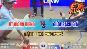 Trận 3 Xà Xía 20/01/2026