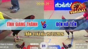 Trận 31 Xà Xía 19/01/2026