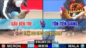 Trận 33 CPC3 15/01/2026