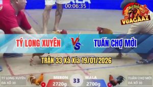 Trận 33 Xà Xía 19/01/2026