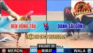 Trận 35 CPC3 15/01/2026