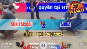 Trận 4 Xà Xía 19/01/2026