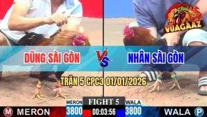Trận 5 CPC3 01/01/2026