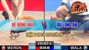 Trận 6 CPC3 01/01/2026