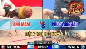 Trận 6 CPC3 15/01/2026