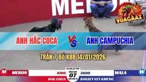 Trận 7 Bồ K88 14/01/2026