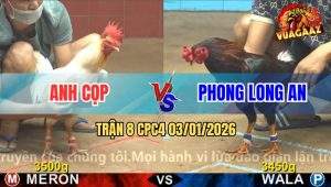 Trận 8 CPC4 03/01/2026