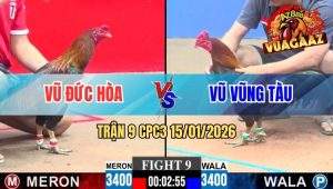 Trận 9 CPC3 15/01/2026