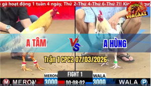 Trận 1 CPC 2 7/3/2026 - Bướm Đá Cưa Kinh Khung Đâm Khét Cứng Mình Bỏ Chạy