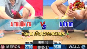Trận 10 Bồ CPC2 9/3/2026 - Cả 2 Quá Hay Đâm Cứng Mình Xong Bỏ Mặt Hòa