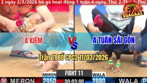 Trận 11 Bồ CPC2 11/3/2026 - Điều Đuôi Lao Siết 2 Tay Nước Rinh Bông Anh Kiểm Ra Ngoài