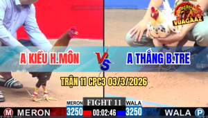 Trận 11 CPC3 03/3/2026 - Bướm Đá Cây Lọt Đâm Điều Té Nhẹ Nhàng