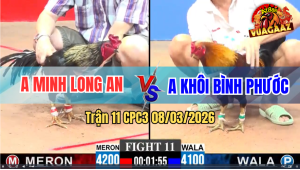 Trận 11 CPC3 8/3/2026 - Điều Đá Chuối Ói Chuối Đá Lại Cây Điều Chết