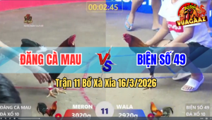 Trận 11 Bồ Xà Xía 16/3/2026 - Bướm Canh Chặn Đâm Cú Cây Xỉu Hư Hình