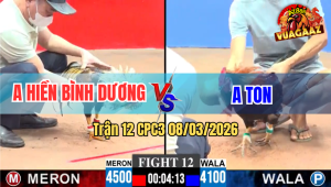 Trận 12 CPC3 8/3/2026 - Chuối Đá Đúng 1 Chân Bưng Xanh Ra Ngoài