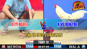 Trận 12 Bồ CPC2 21/3/3026 - Bướm Anh Tèo Phút Gay Cấn Đá Chân Quyết Định Lụm Tiền