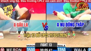 Trận 13 Bồ CPC2 11/3/2026 - Bướm Đá Điều Cứng Mình Điều Đá Lại Chân Bướm Té