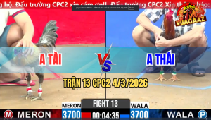 Trận 13 Bồ CPC2 4/3/2026 - Xám Siết Mấy Chân Đâm Điều Chạy Bung Bồ