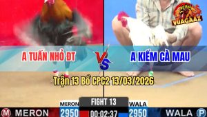 Trận 13 Bồ CPC2 13/3/2026 - Uá Siết Mấy Chân Đâm Điều Té Cắm Đầu Xách Đui Ra