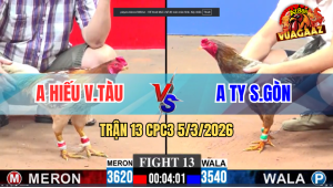 Trận 13 Bồ CPC3 5/3/2026 - Camelo Đá Siết Mấy Chân Đâm Mã Lại Xỉu Tại Chỗ