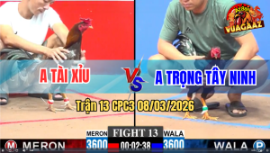 Trận 13 CPC3 8/3/2026 - Xám Dè Tiền Buông Ra Que Đá Lọt Xỉu Hết Sửa