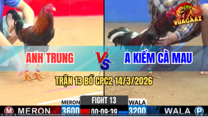 Trận 13 Bồ CPC2 14/3/2026 – Kiểm Cà Mau Ôm Điều Bông Vào Chấp 4 Chấm Gà