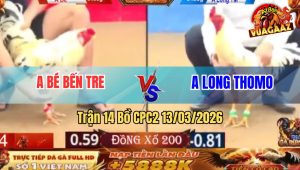Trận 14 Bồ CPC2 13/3/2026 - Bướm Anh Bé Dí Ăn 5 Bị Uá Long Đá Cho Bay Xuống Sông