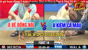 Trận 14 CPC 2 7/3/2026 - Bướm Chấp 2 Chấm Đá Cây Nghiệt Cú Ngã Tự Do