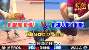 Trận 14 CPC3 03/3/2026 - Điều Đá Que Xách Xe Đi Cầm