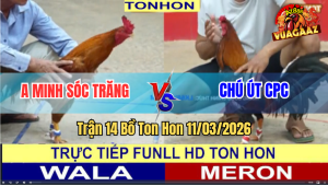 Trận 14 Bồ TonHon 11/3/2026 - Điều Minh Lý Đâm Lọt Mấy Cây Lưng Hạ Khét Tuyệt Đối