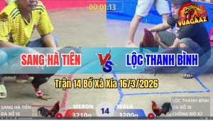 Trận 14 Bồ Xà Xía 16/3/2026 - Gà Xanh Chồng Độ Sặc Ói Vẫn Nằm Tại Mức Vẫn Giành Chiến Thắng