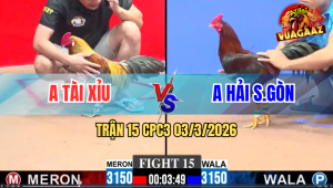 Trận 15 CPC3 03/3/2026 - Que Đá Đúng 1 Tay Nước Rinh Xám Ra Ngoài